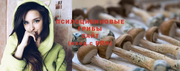 кокс Арсеньев