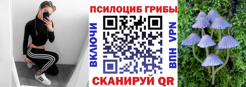 ссылка на мегу ТОР  Мончегорск  Галлюциногенные грибы Psilocybe 